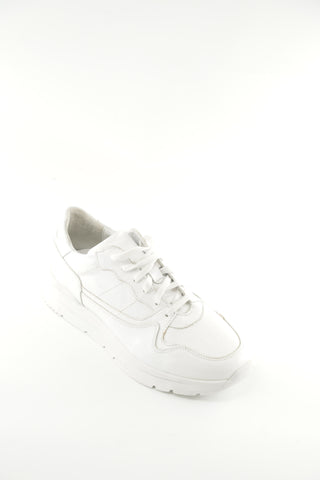 Men's Shoes  626118
